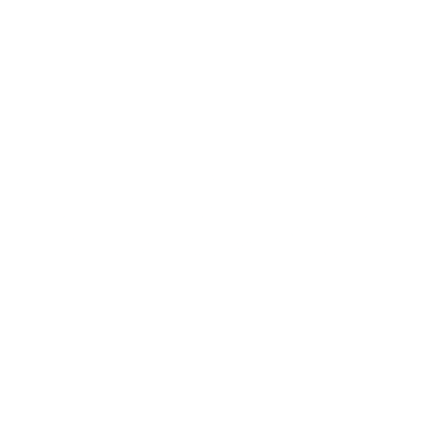Stenz Digital Logo
